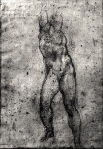 Estudio de un desnudo masculino de Michelangelo Buonarroti